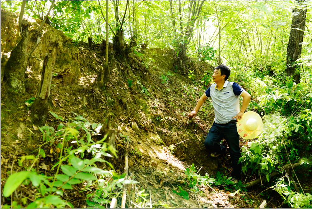 典藏竹山之历史篇：踏访方城山