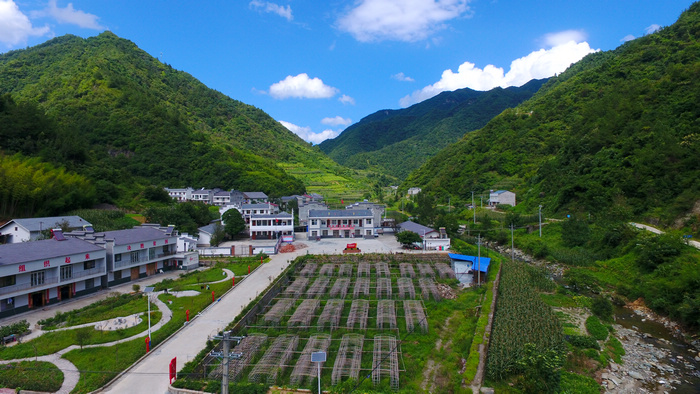 【辉煌十三五•奋进十四五•筑梦新竹山】党建引领决战脱贫攻坚助力乡村振兴