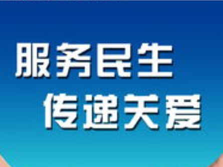 县民政局推进农村福利院规范化建设的报告