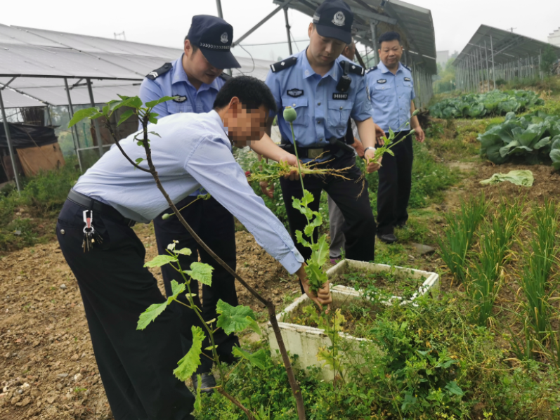 竹山公安多举措推进“全民禁毒”工作