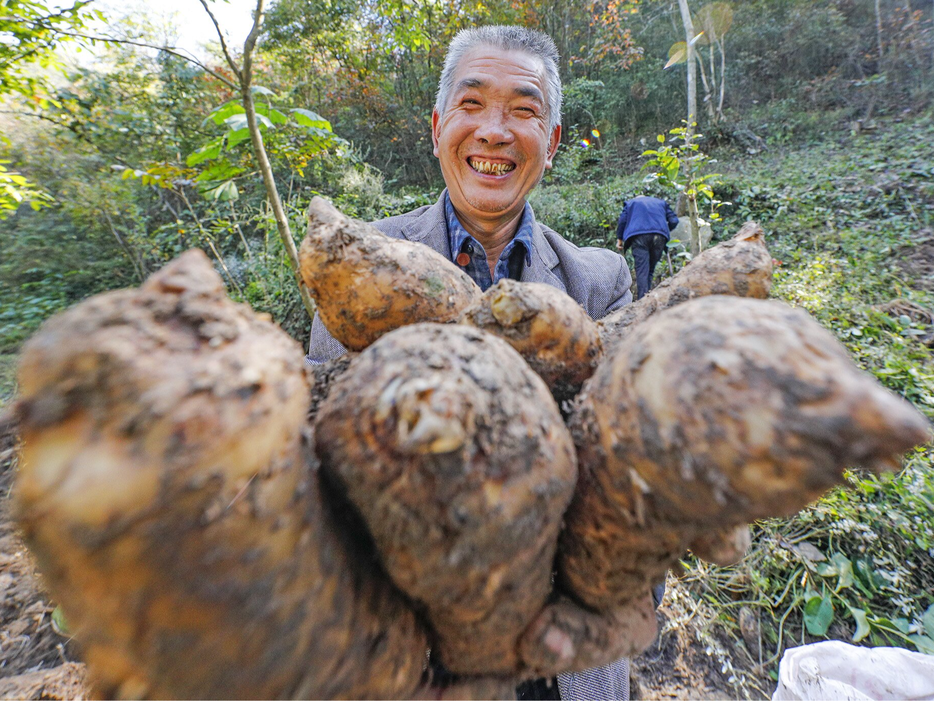 庹明喜：林下开辟致富路