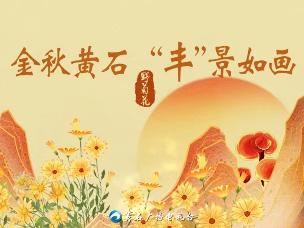 金秋黄石 “丰”景如画 · 野菊花