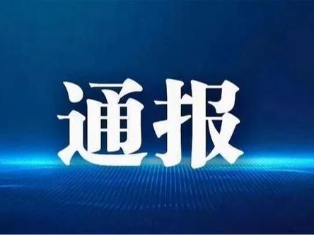 中共擂鼓镇委员会关于十五届竹山县委第三轮巡察反馈意见整改情况的通报